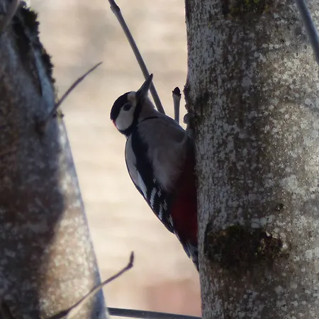 Penzion Le Du Velay *